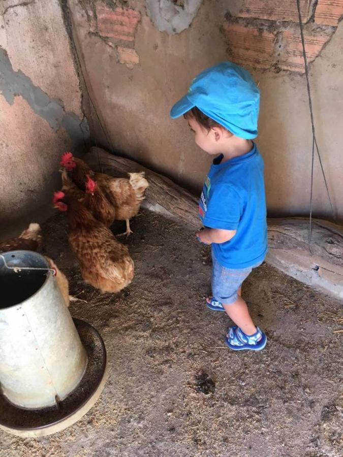 Casa Rural-Granja كونيل ذي لا فرونتيرا المظهر الخارجي الصورة